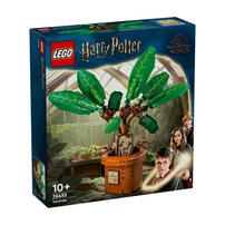 LEGO樂高哈利波特系列 魔蘋果 76433