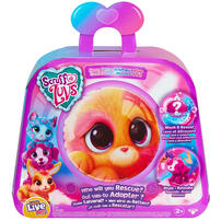 Little Live Pets Scruff-A-Luvs S11 Neon Pets - Assorted